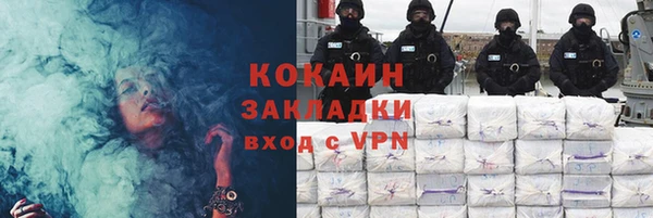 spice Дмитриев