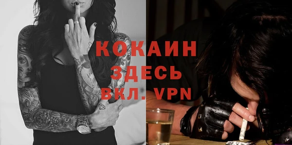 spice Дмитриев