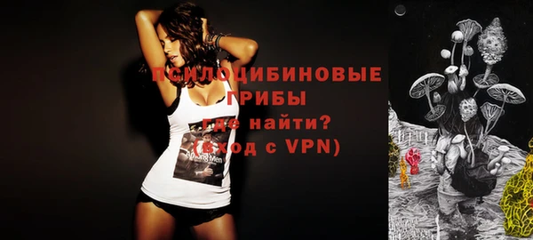мдпв Елабуга