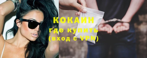 ешки Ельня