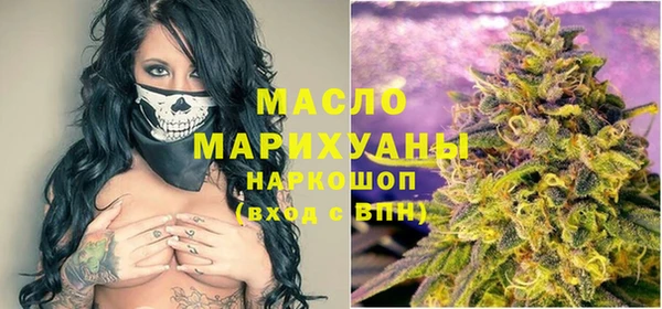 мдпв Елабуга