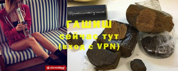ешки Ельня