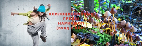 мдпв Елабуга
