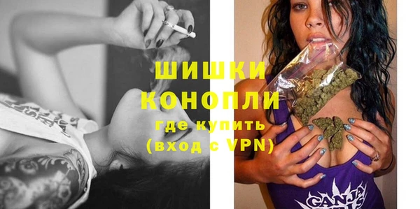 мдпв Елабуга