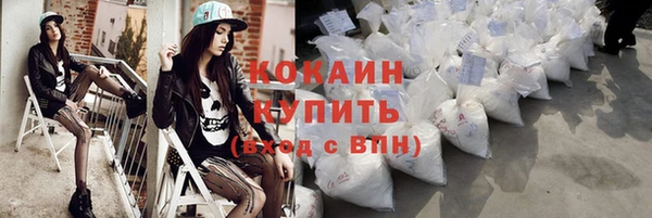 spice Дмитриев